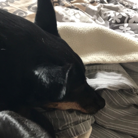 Meet your Posher, Scott - Picture 1 of 1